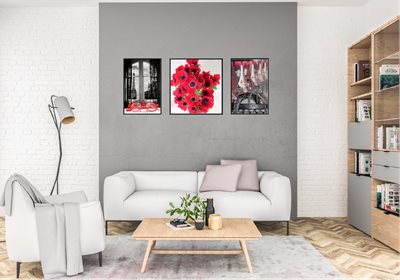 101 -4 סלון בשילוב תמונות בגוון אדום