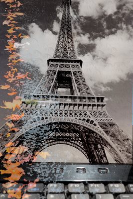 קולאז' אייפל עם מחשב ועלים 008 -00