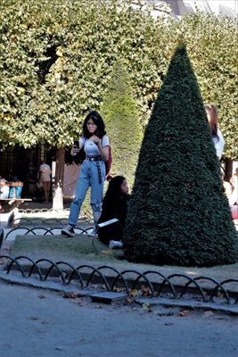 עץ דמוי משולש 3013 -11