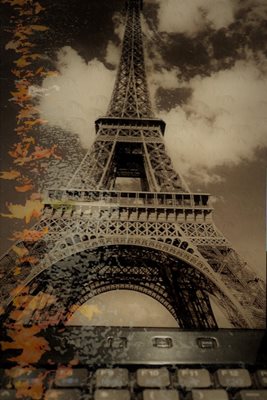 קולאז' עלי שלכת ומגדל אייפל 008 -00
