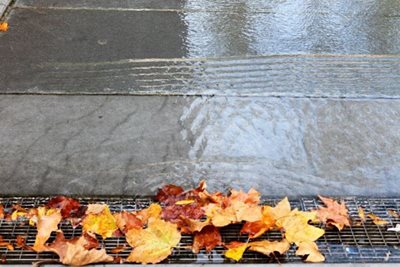 עלי שלכת ברחוב גשום 3949- 43