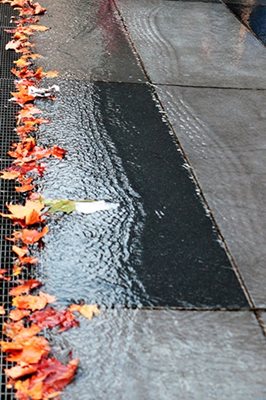 עלי שלכת ברחוב גשום 3966 -43