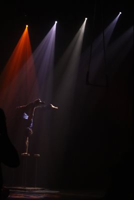 גוונים וצבע בריקוד 411 -83