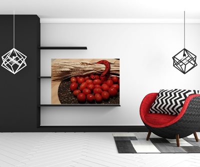 שיבולים פרסת מזל ועגבניות 9007 -38