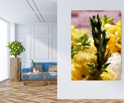 פרחים צהובים 8546- 39