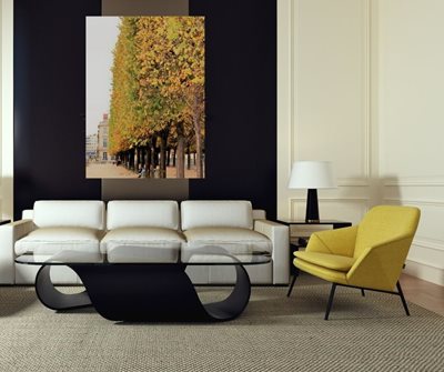 שורת עצים 4173 -11