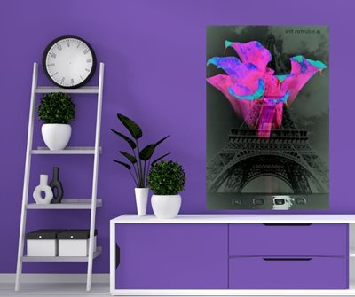 קאלה סגולה וורודה