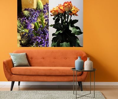 פרחים כחול 2050-57/כתומים5034 -79