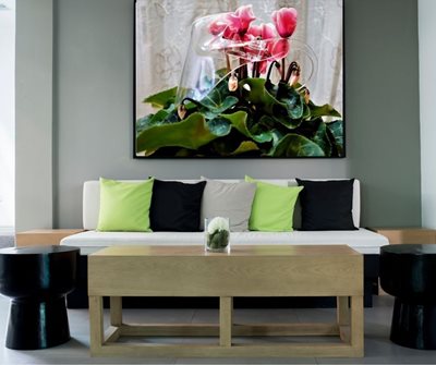 רקפות ומסכה 0549 -97