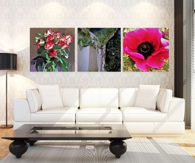 כלנית 8077 -65 שושנים 0212-76 עץ 0032c