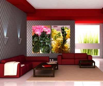 פרחים צהובים 8646-48 ורקפת 6973 -75