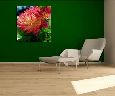 פינת ישיבה עם פרח דליה 7974 -53