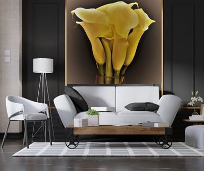 קאלה בגוון קרם 9295 -74 א'