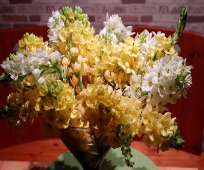 זר פרחים צהוב לבן 88523 -48