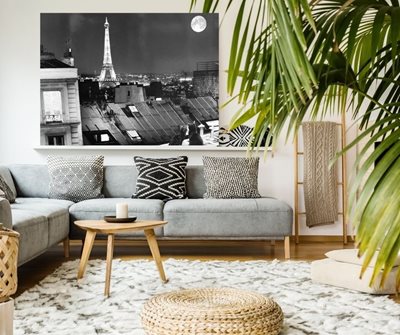 נוף פריס בשחור לבן 0723 -3