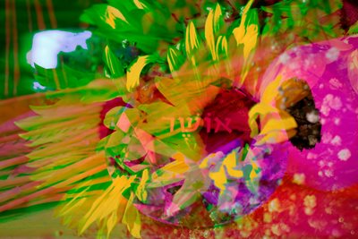 קולאז' יהלום אושר עם חמניות 0064 -00