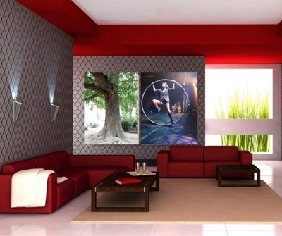 רקדנית 447 -82 ועץ 0617 -11