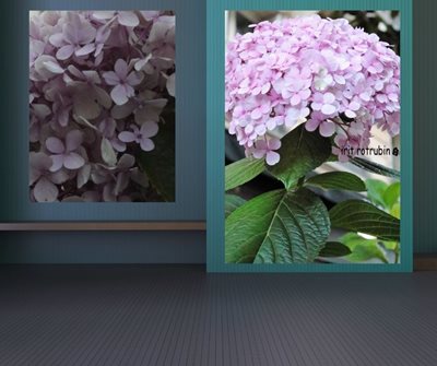 פרח גדול 2582 -51 עלי כותרת 2588 -51