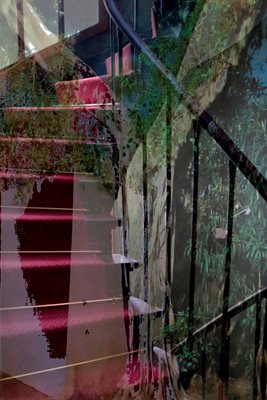 קולאז' עץ ומדרגות 0067 -00