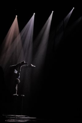 גוונים וצבע בריקוד slate 411 -83