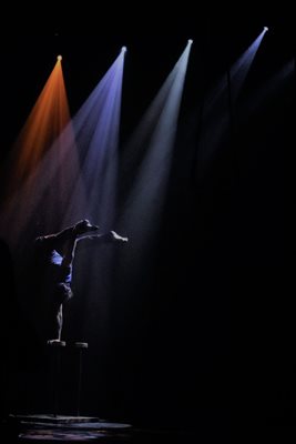 גוונים וצבע בריקוד arctic 411 -83