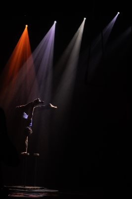 גוונים וצבע בריקוד sauna 411 -83