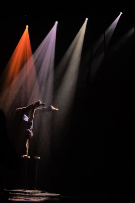 גוונים וצבע בריקוד גוון מדיום 411 -83