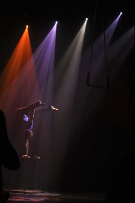 גוונים וצבע בריקוד תאורה בהירה 411 -83