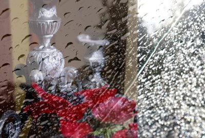 קולאז' טיפות מים עם כלניות ופמוט 0027 - 00