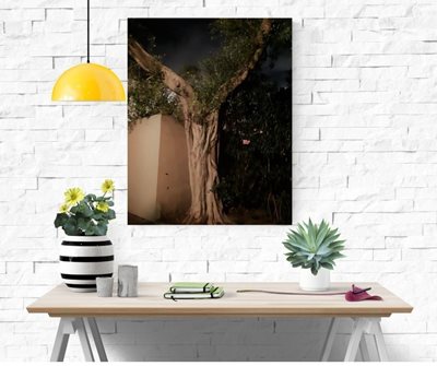 עץ פורש ידיים 0028 - 11B