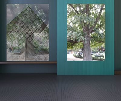 קולאז' פירמידה ועץ גוון לייטן 0047 -00