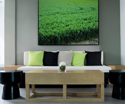 שדות של חיטה 0419 -84