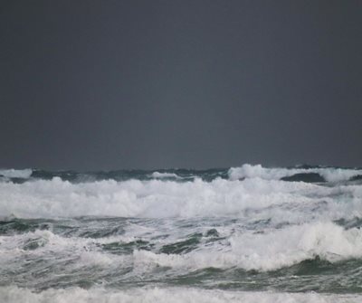 ים גלי 4594 -14