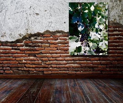 אשכול ענבים 9494 -63