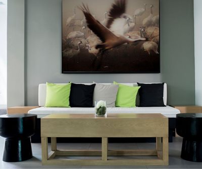 עגור פורש כנפיים 5572 -80