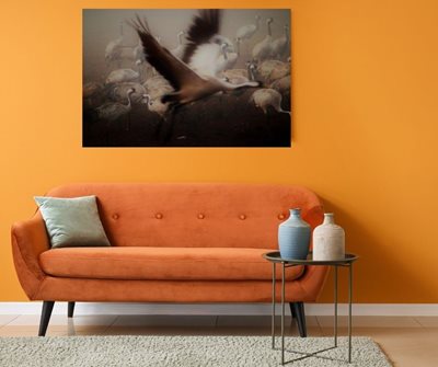 עגור פורש כנפיים 5572 -80