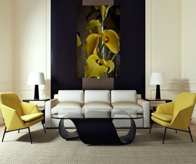 קאלה צהובה 788-940