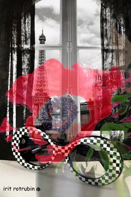 קולאז' משקפיים משבצות עם כלנית 007 -00