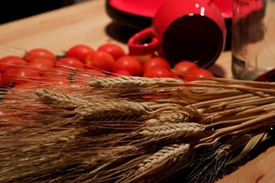 שיבולים ועגבניות 8958 -38