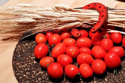 שיבולים פרסת מזל ועגבניות 9007 -38