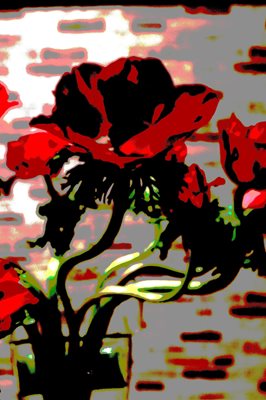 כלנית אסימטרית דמוי ציור 0777 -105