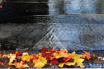 קולאז' פירמידה ועלי שלכת 00-0097