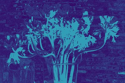 קולאז' פרחים אסימטרי בכחול 0091 -00