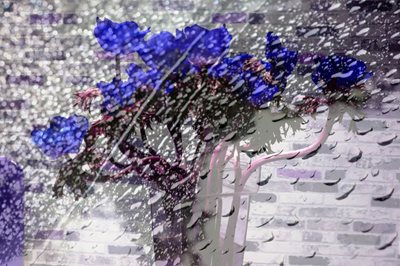 קולאז' גשם וכלניות 00-00102