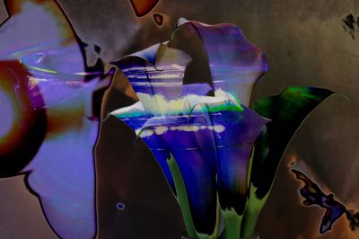 קולאז' פרח קאלה ונר כחול 00-00103