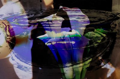 קולאז' פרח קאלה ונר כחול 00-104