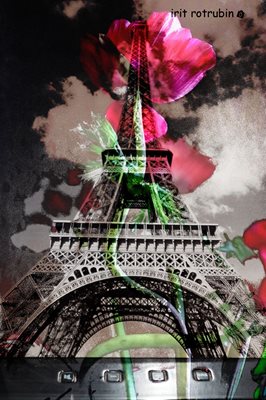 קולאז' אייפל מחשב וכלנית אסימטרי 93 00-00