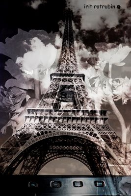 קולאז' אייפל מחשב וכלנית 00-00100