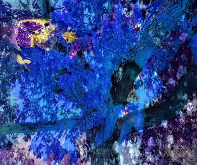 קולאז' חמנייה בכחול ועץ 00- 0062