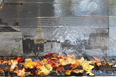 קולאז' עלי שלכת עם אייפל 00-0035